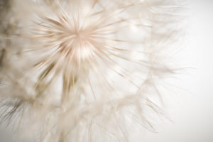 Paolo Ferrante foto artistica